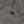 Load image into Gallery viewer, SHORE TWILL BEACH TROUSERS PIGMENT DYE
