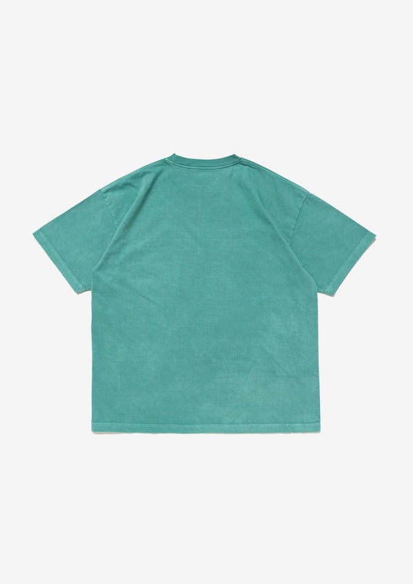CACHALOT ORGANIC COTTON SS PIGMENT DYE