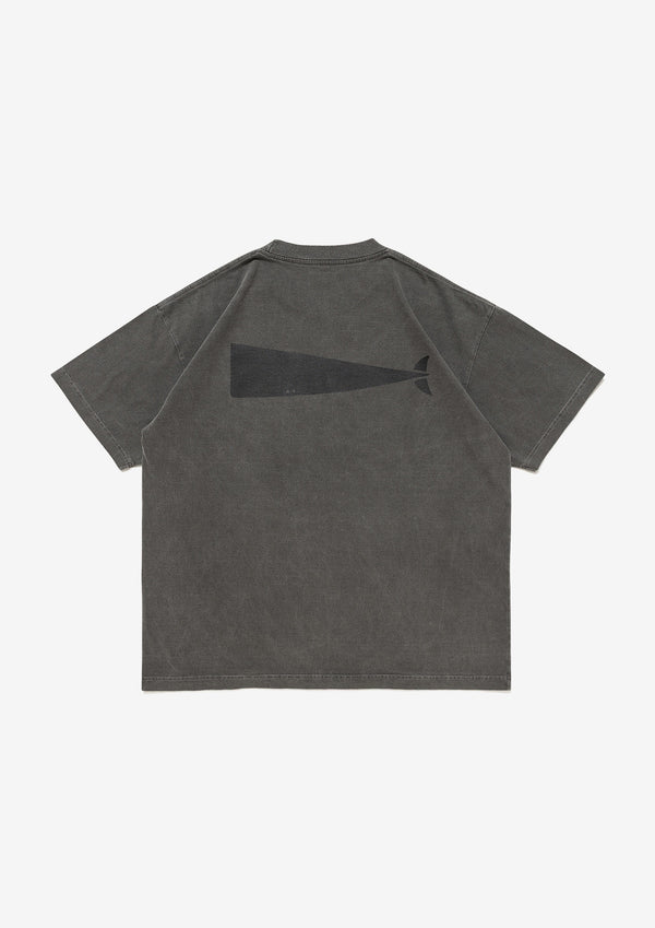 CACHALOT ORGANIC COTTON SS PIGMENT DYE