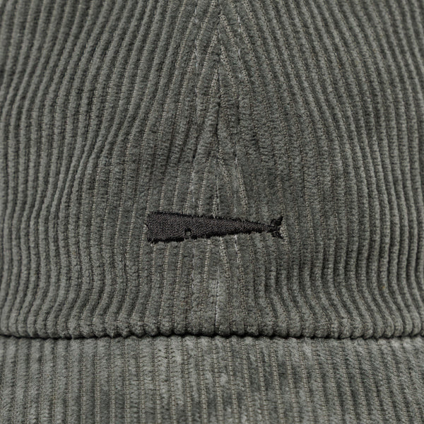 CACHALOT 6PANEL