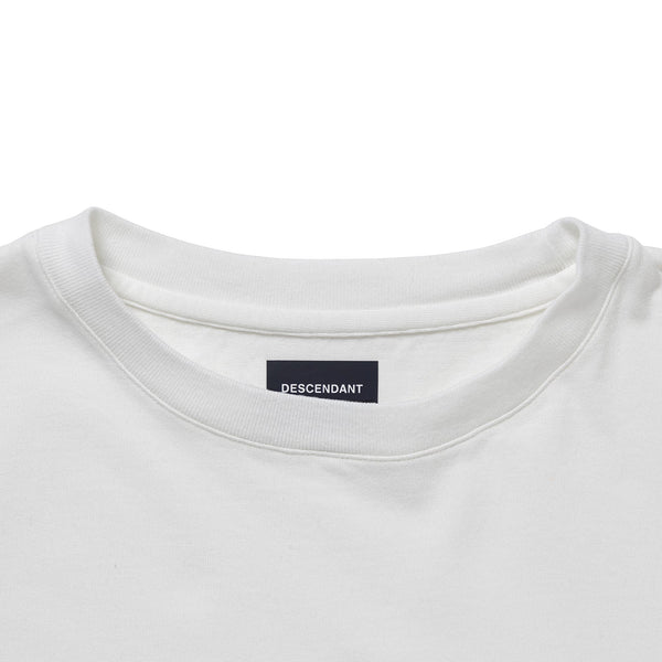 CACHALOT ORGANIC COTTON STRIP SS CLASSIC FIT