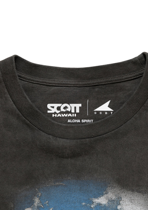 EDST SS PIGMENT DYE SCOTT HAWAII