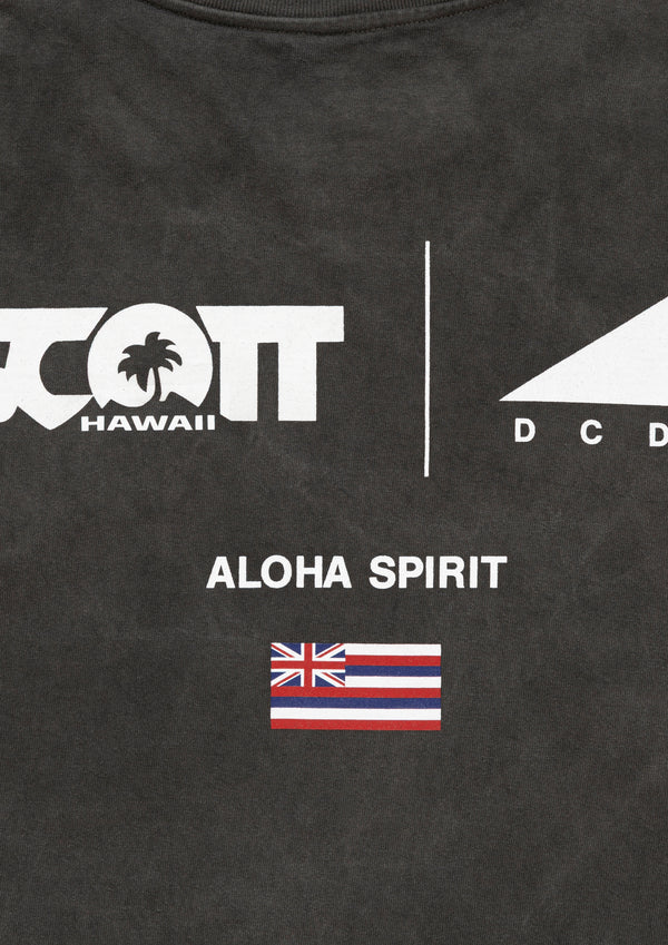 EDST SS PIGMENT DYE SCOTT HAWAII