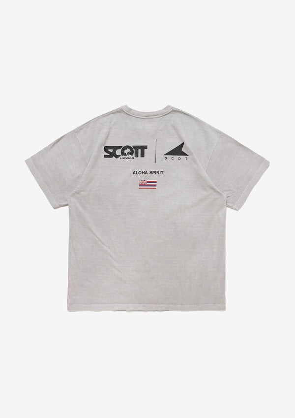 EDST SS PIGMENT DYE SCOTT HAWAII