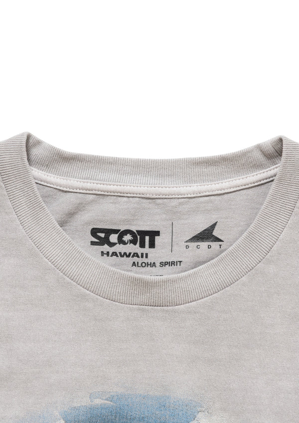 EDST SS PIGMENT DYE SCOTT HAWAII