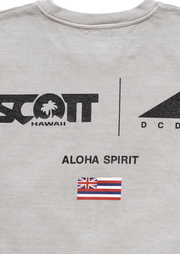 EDST SS PIGMENT DYE SCOTT HAWAII