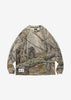COECE LS