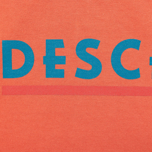 FDTD SS – DESCENDANT KYOTO（ディセンダント京都）